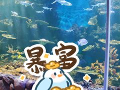 -西安曲江海洋极地公园