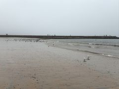 -青岛第二海水浴场