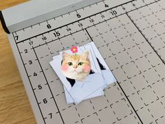 -麦子照相馆(光华店)