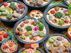 -瑞虹新天地月亮湾
