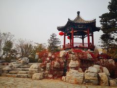 -大兴滨河森林公园