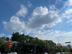 -王虎子大饼(甸柳新村五区店)