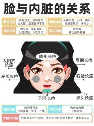 -玛莲朵·海菲秀冰珀科