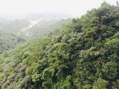 -牛鱼嘴原始生态风景区
