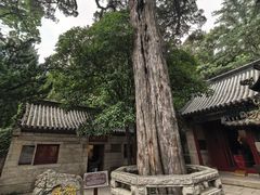 -青岛崂山太清宫