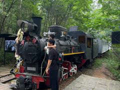 -五营红松林海景区