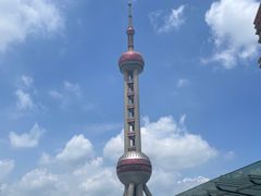 -上海海洋水族馆