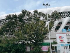 -深圳市体育中心体育馆主馆