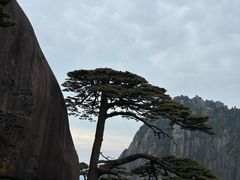 -黄山风景区
