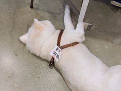 -VOYAGE COFFEE 咖啡烘焙工坊店(798艺术区店)