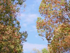 -白塘生态植物园