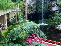 -广州白天鹅宾馆