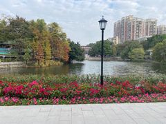 -荔湾湖公园