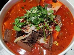 毛血旺-阿莉餐厅(枣阳路店)