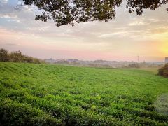 -敬亭山风景名胜区