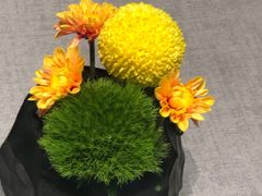 -南堂馆·新川菜(春熙路店)