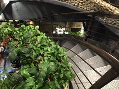 -春天里·老街坊餐厅(港隆广场店)