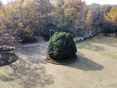 -灵谷景区
