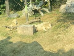 -郑州银基国际旅游度假区