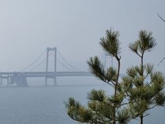 -星海湾跨海大桥