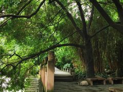 -成都市活水公园