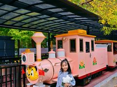 -黄海国家森林公园