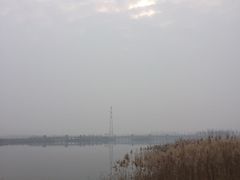 穿过雾霾的日光-东营·森林乐园
