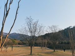 -黄陂区野村谷景区