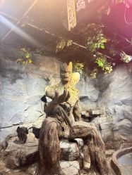 -Zoolung Zoolung动物主题公园(海信广场店)