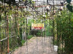 润记农家莱既瓜果长廊-润记农家菜