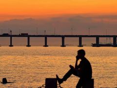 -宝安西湾红树林湿地公园