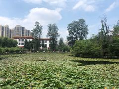 -四川大学(望江校区)