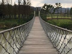 -长兴太湖图影湿地文化园