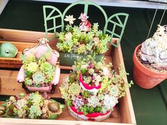 -上海鲜花港