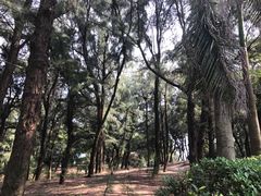 -宋井风景区