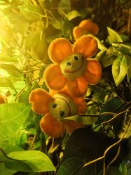 -疯狂冒险家-亲子密室-东坝店(金隅嘉品店)