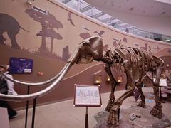 -陕西自然博物馆