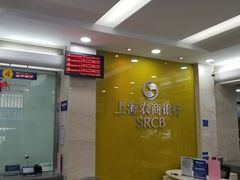 -上海农商银行(马桥支行)
