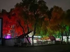 -枫花园汽车电影院(朝阳公园店)