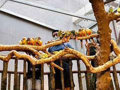 -正佳雨林生态植物园