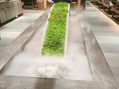 -湊湊火锅·茶憩(石家庄万象城店)