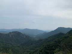 -大岭沟猕猴桃谷风景区