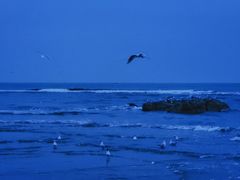 -老虎石海上公园