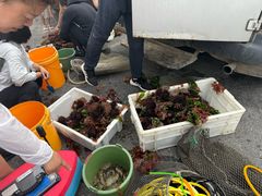 -银沙滩浴场