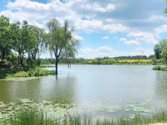 -东郊湿地公园