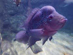 -常州海昌海洋探索馆