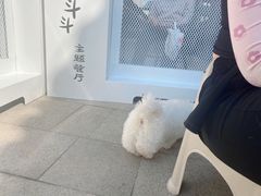 -柯斗斗主题餐厅·狗咖·围炉煮茶·茶饮(国瑞升平里店)