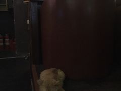 -HUNTING BAR亨霆鸡尾酒馆(越秀淘金店)
