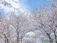 -堤角公园