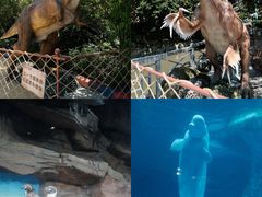 -海合安武汉极地海洋公园